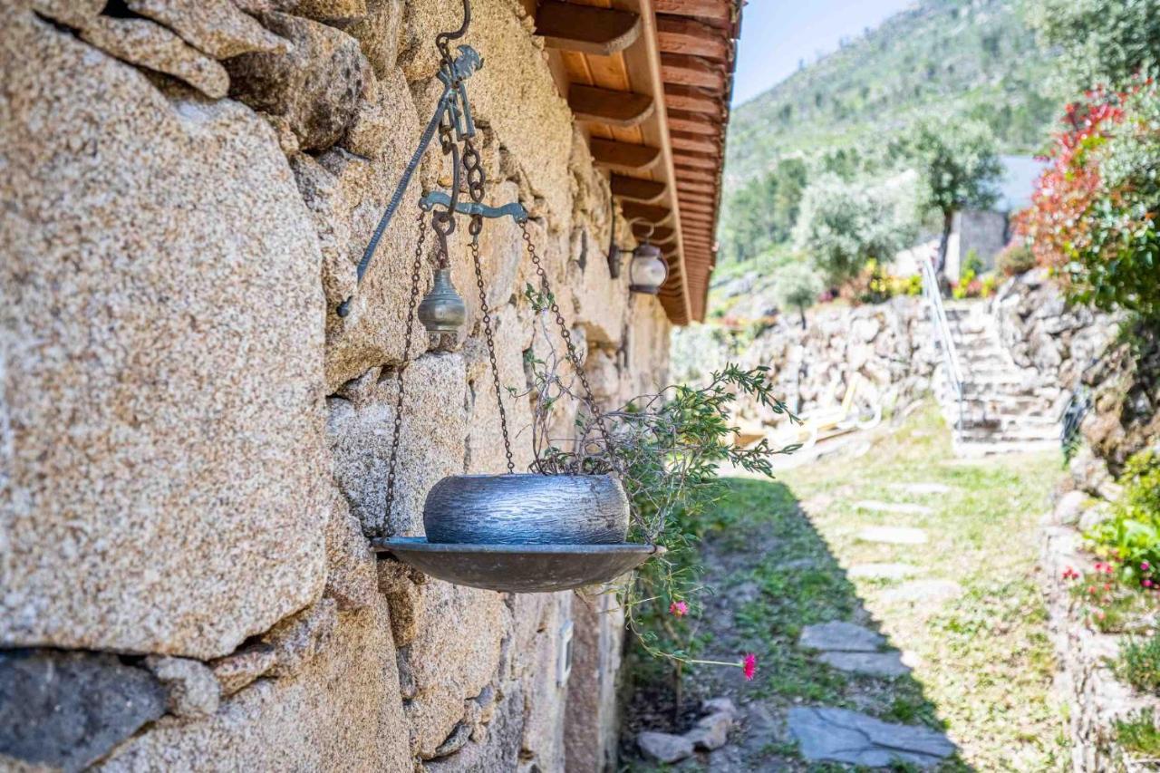 Quinta Da Baldieira Mondim de Basto Dış mekan fotoğraf