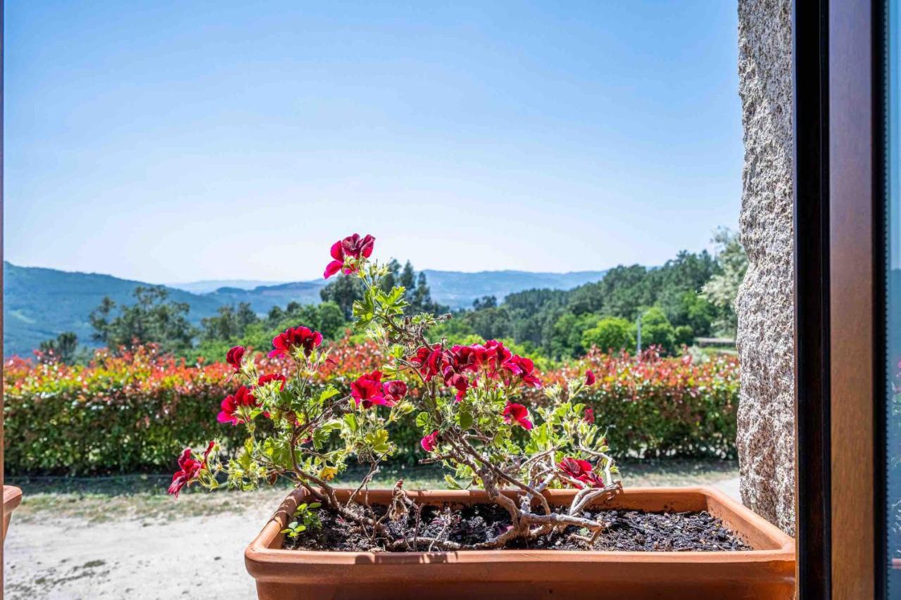 Quinta Da Baldieira Mondim de Basto Dış mekan fotoğraf