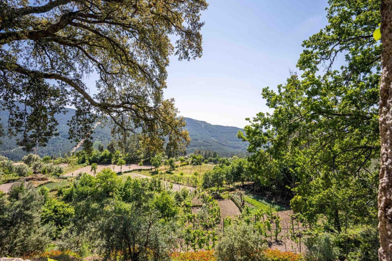 Quinta Da Baldieira Mondim de Basto Dış mekan fotoğraf
