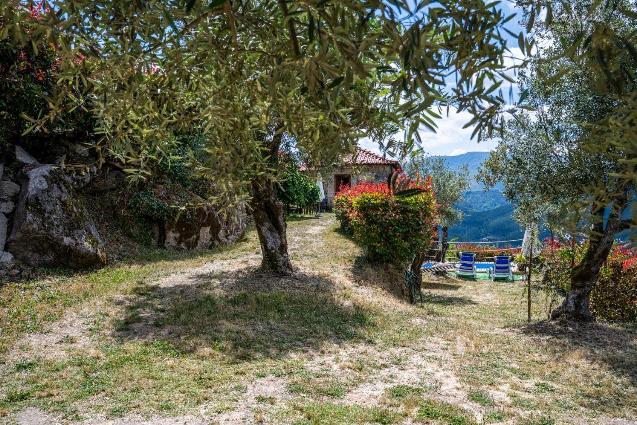 Quinta Da Baldieira Mondim de Basto Dış mekan fotoğraf