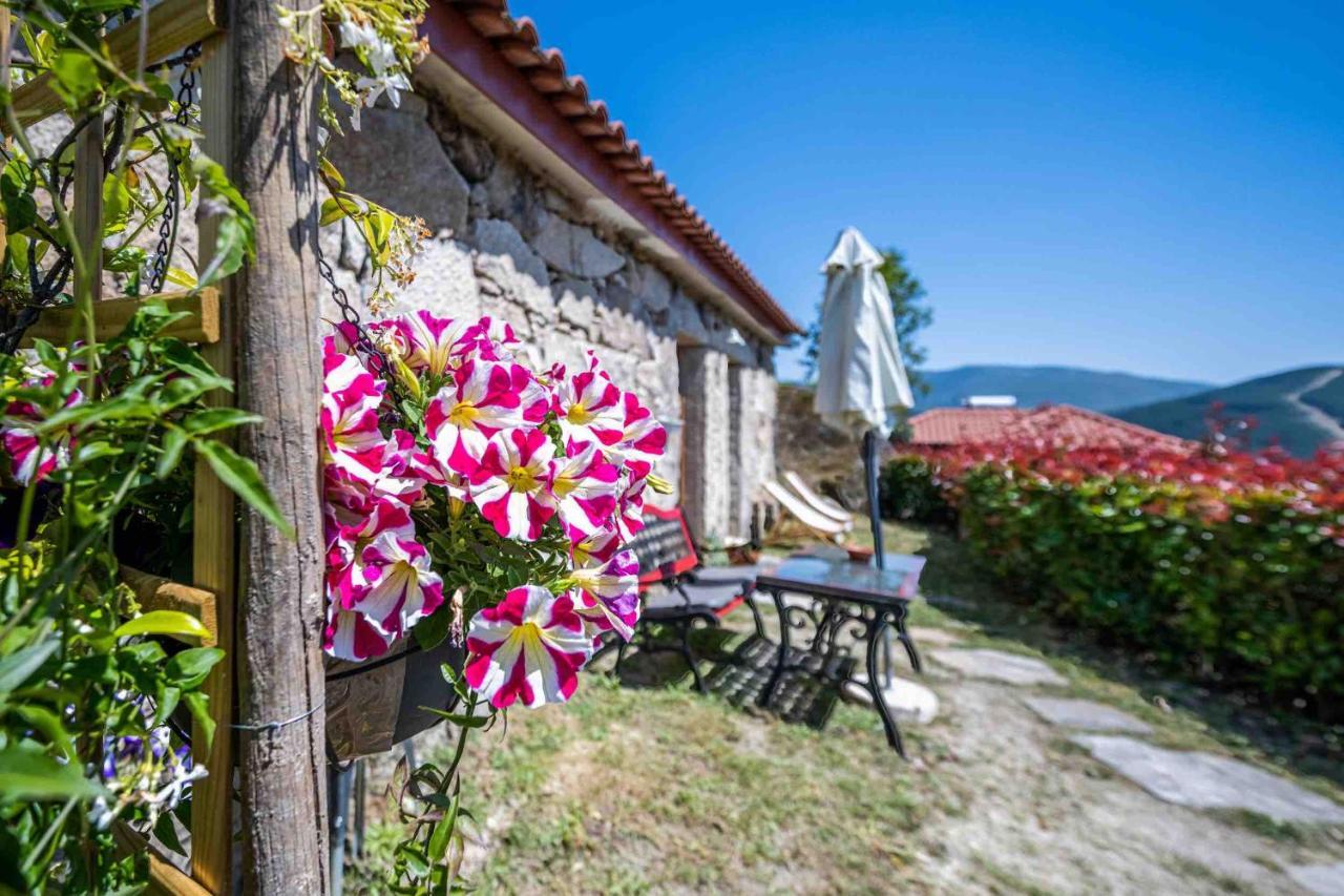 Quinta Da Baldieira Mondim de Basto Dış mekan fotoğraf
