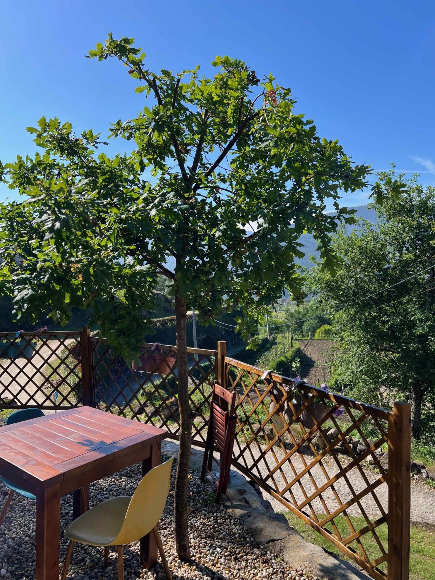 Quinta Da Baldieira Mondim de Basto Dış mekan fotoğraf