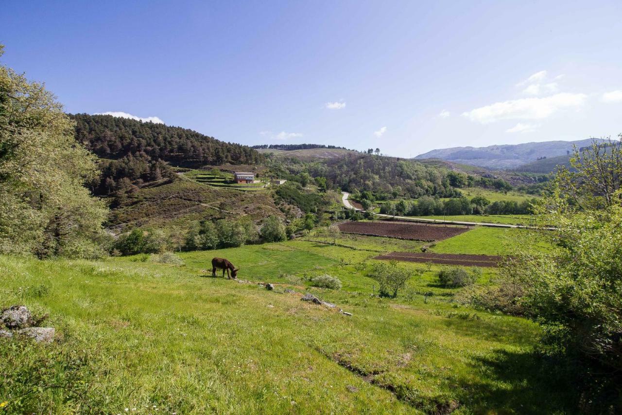 Quinta Da Baldieira Mondim de Basto Dış mekan fotoğraf