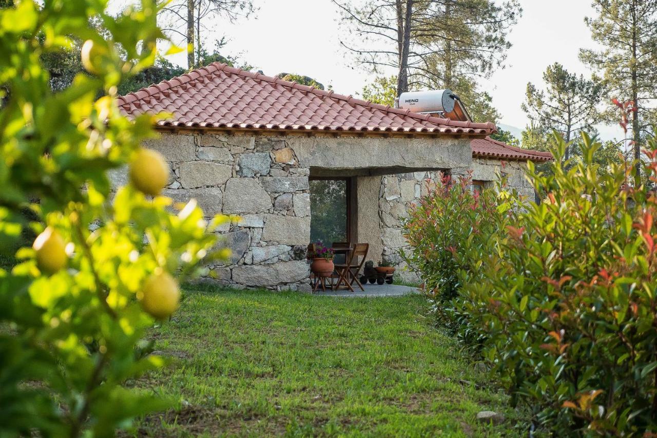 Quinta Da Baldieira Mondim de Basto Dış mekan fotoğraf